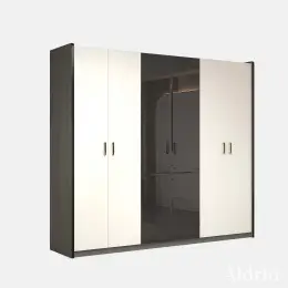 BRAUN 6D