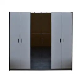 BRAUN 6D