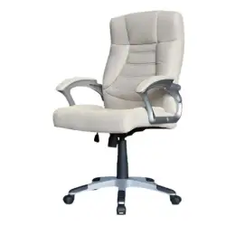 BY201100 BEIGE WS OFC CHAIR